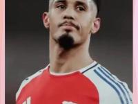 今年会体育官方-阿森纳新星崭露头角，未来或成球队顶梁柱，能够如此地址.的简单介绍