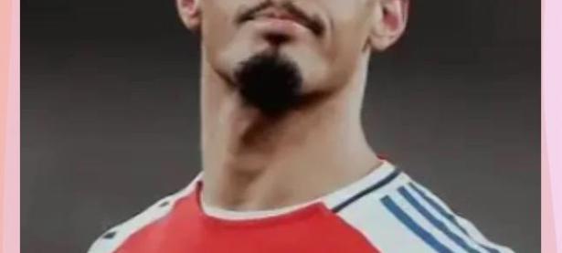 今年会体育官方-阿森纳新星崭露头角，未来或成球队顶梁柱，能够如此地址.的简单介绍