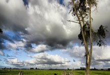 jinnianhui-Faker迎来二十赛季出色发挥，皇家马德里观众热烈欢呼！